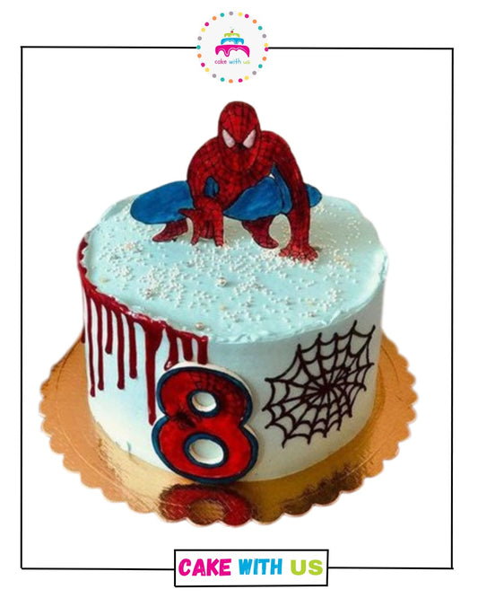 Spiderman Turning 8 Cake