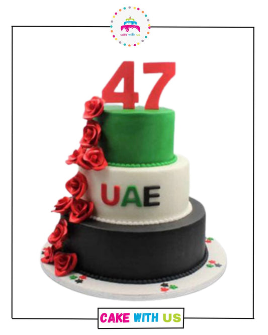 UAE National Day Cake 4