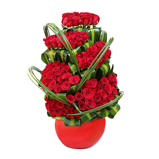 100 Love Rose